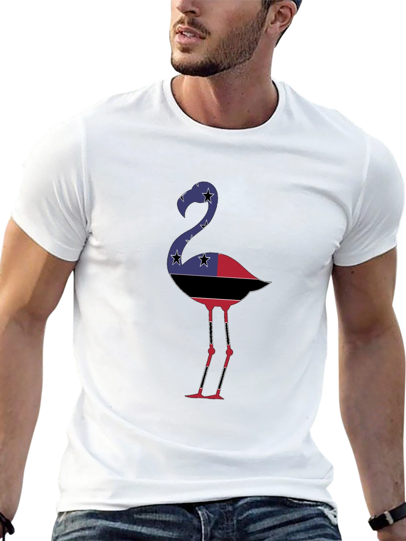 Flamingo Graphic Tee - Stylish Mens T-Shirt