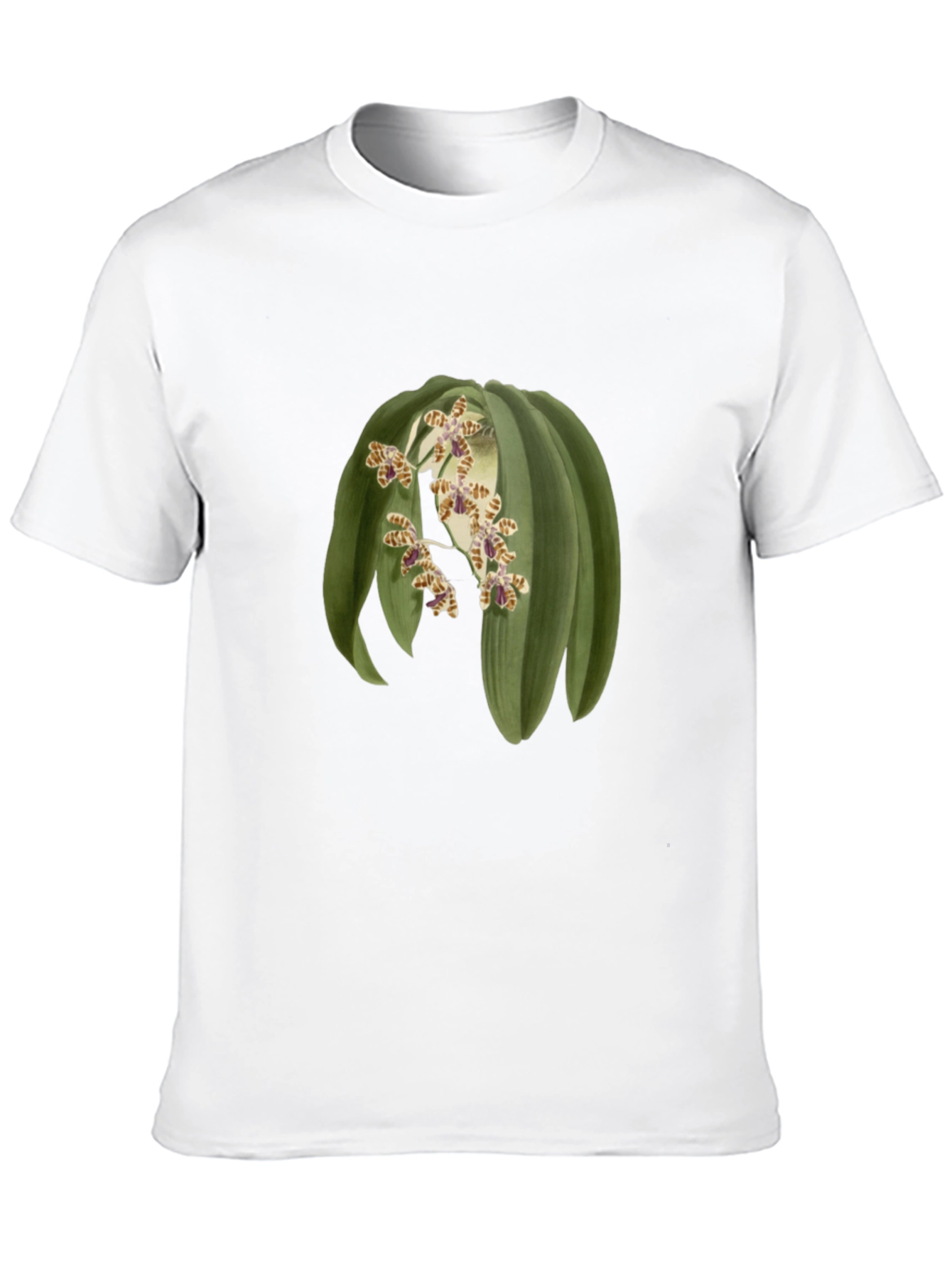 Botanical Print Tee - Unique Graphic T-Shirt