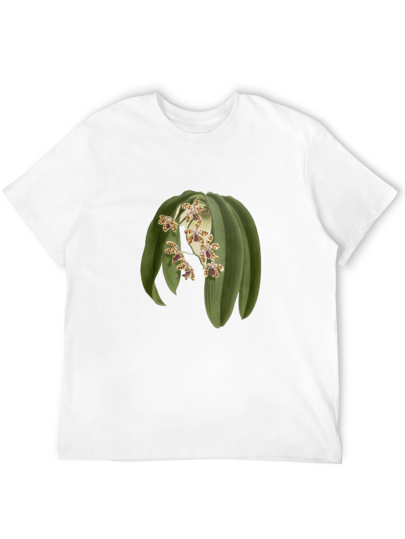 Botanical Print Tee - Unique Graphic T-Shirt