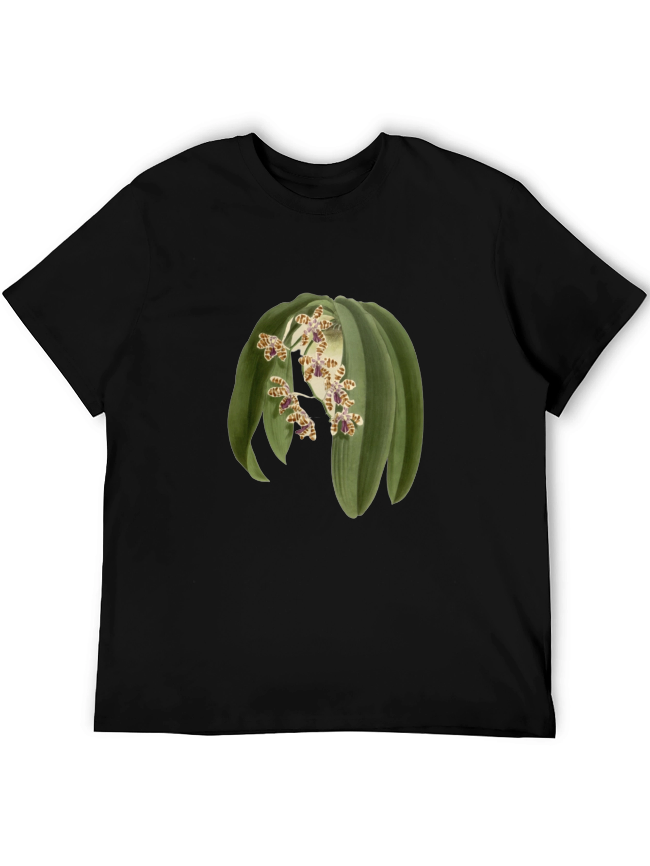 Botanical Print Tee - Unique Graphic T-Shirt