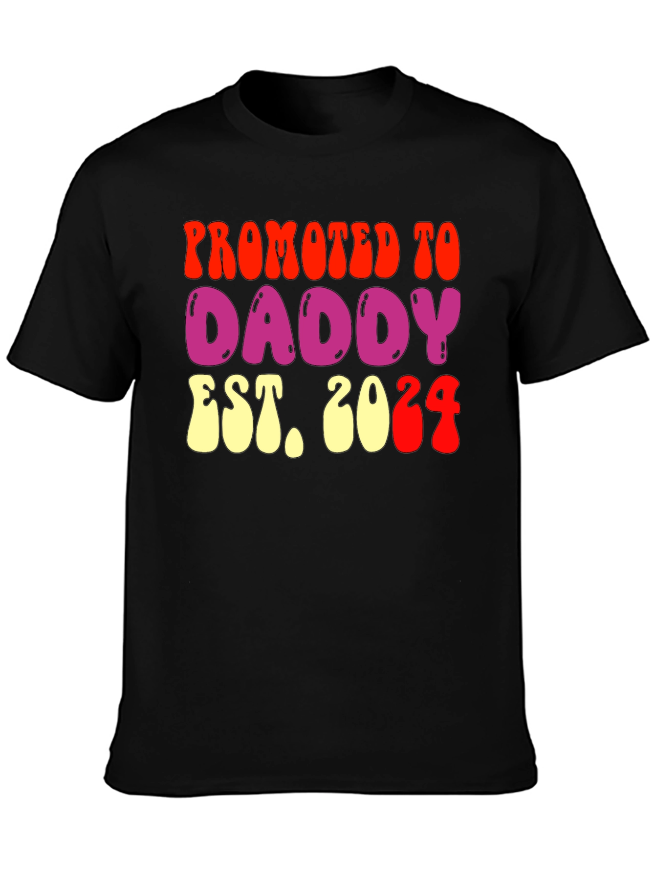 Promoted to Daddy Est 2024 Graphic T-Shirt