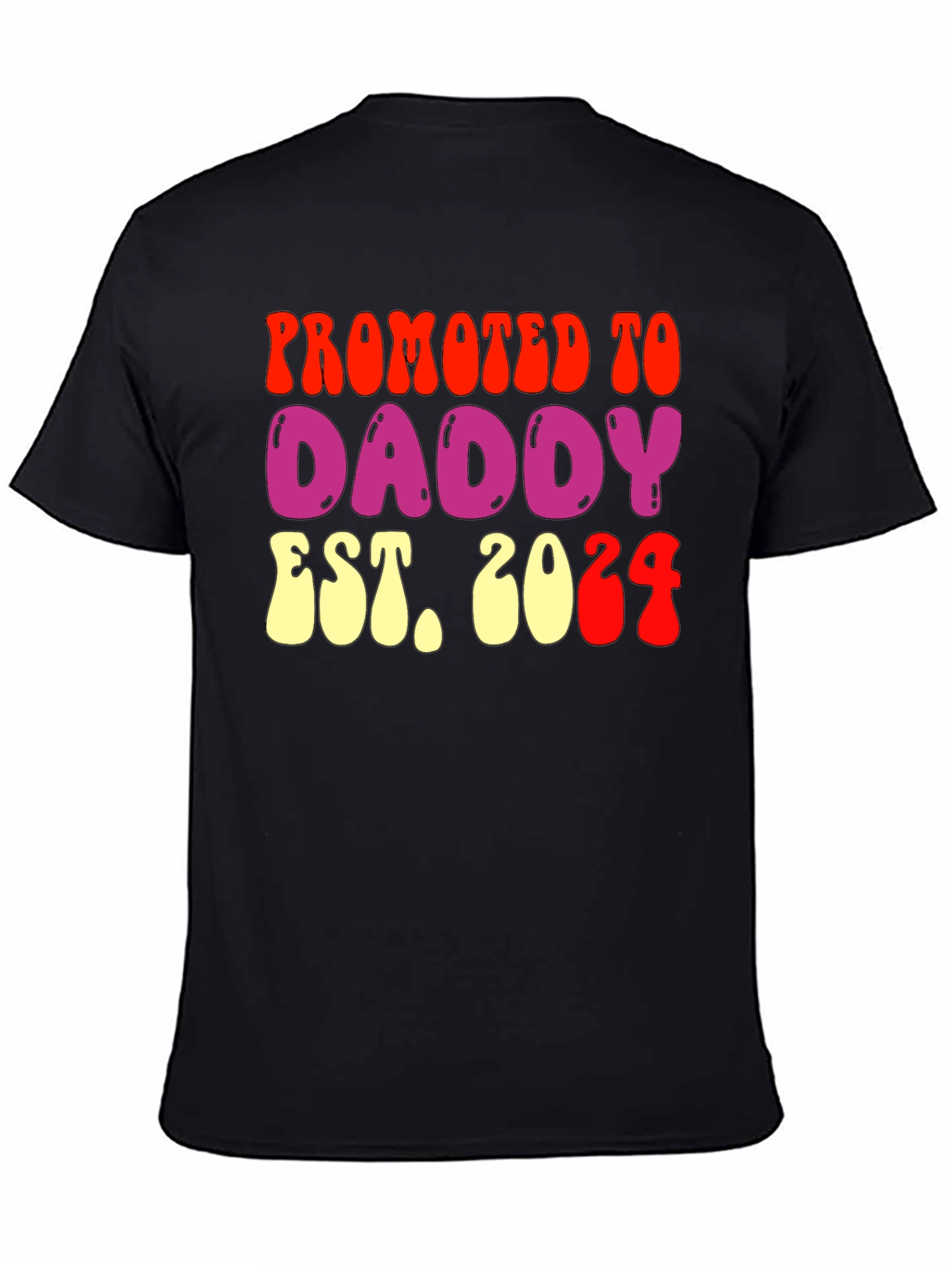 Promoted to Daddy Est 2024 Graphic T-Shirt