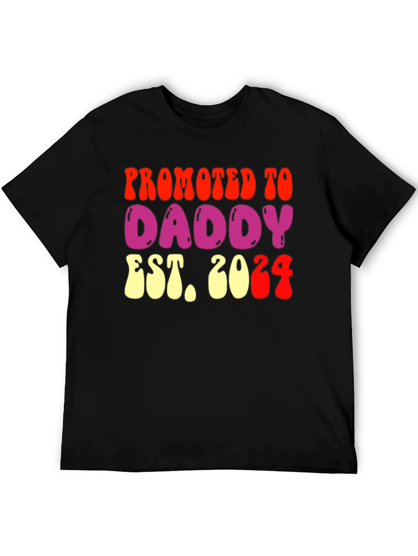 Promoted to Daddy Est 2024 Graphic T-Shirt