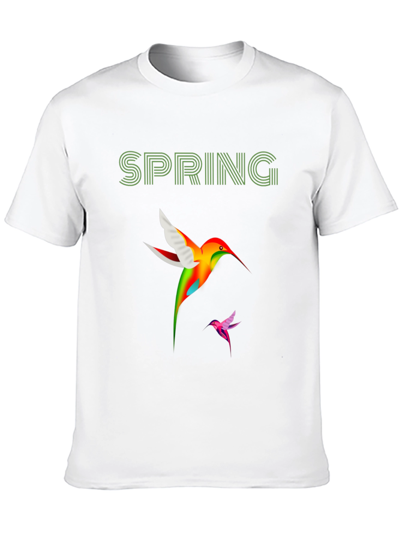Spring Hummingbird Graphic T-Shirt