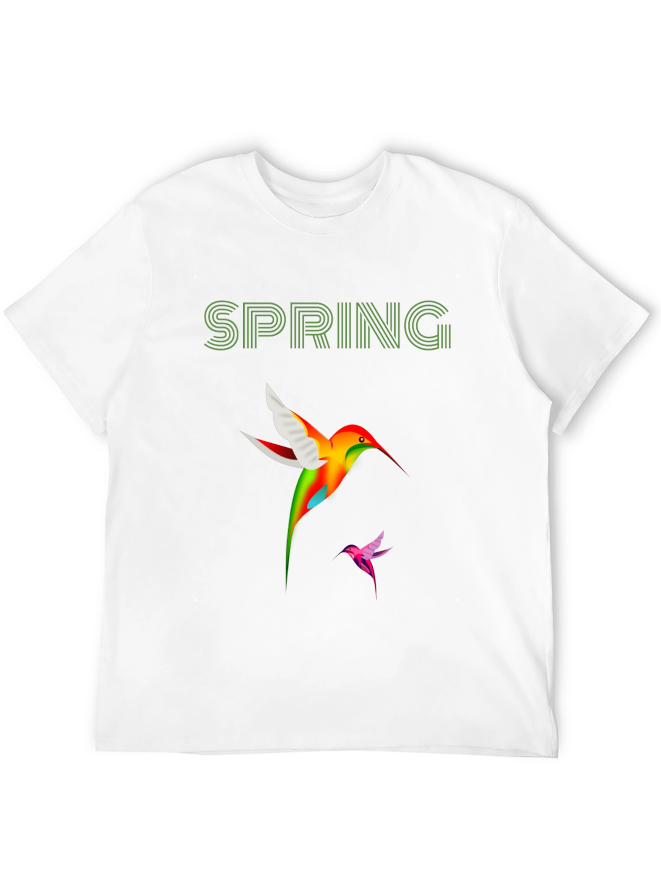 Spring Hummingbird Graphic T-Shirt
