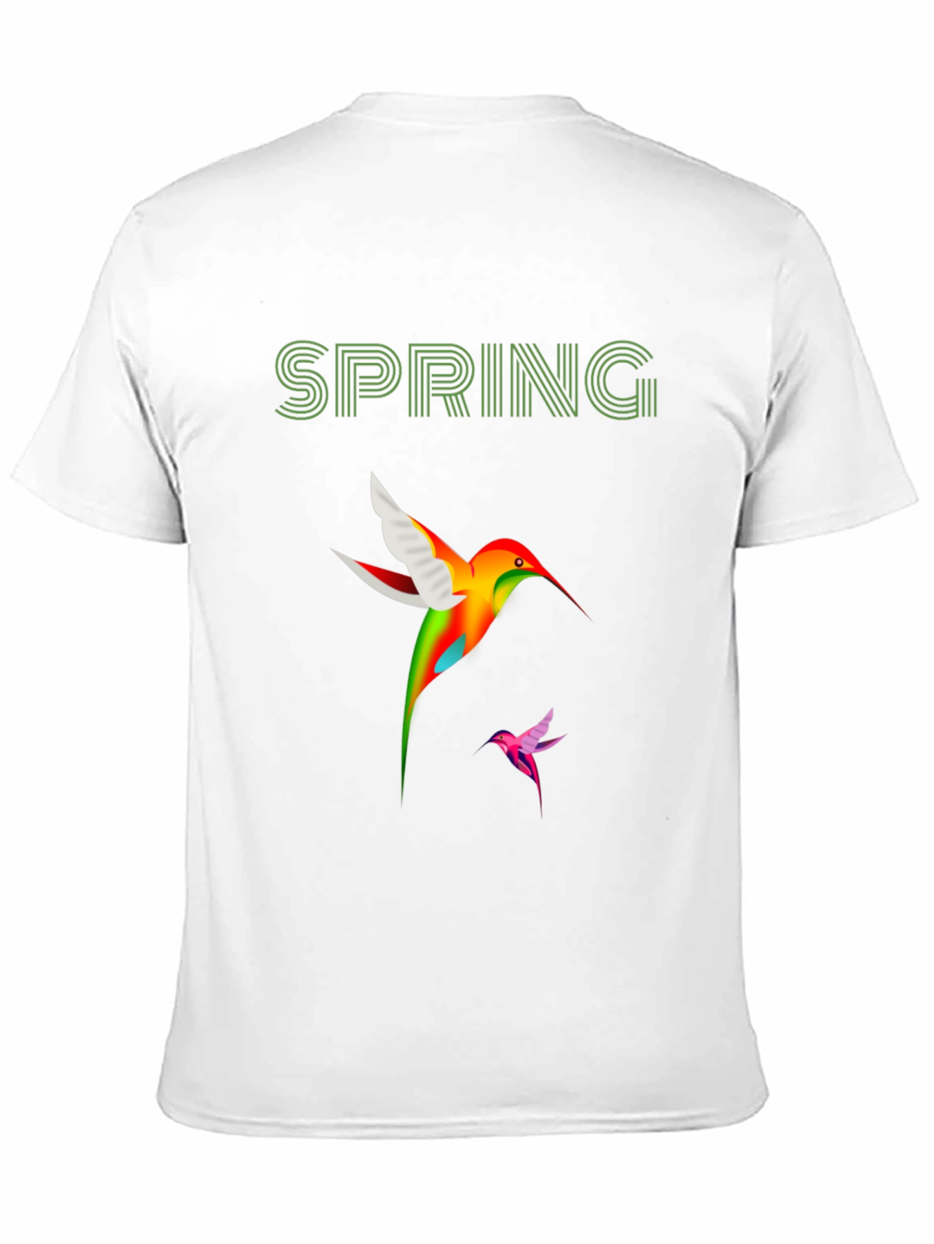 Spring Hummingbird Graphic T-Shirt