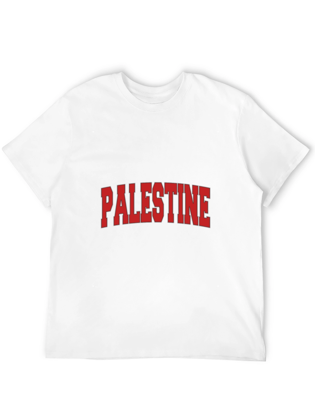 Palestine Graphic T-Shirt - Classic Design
