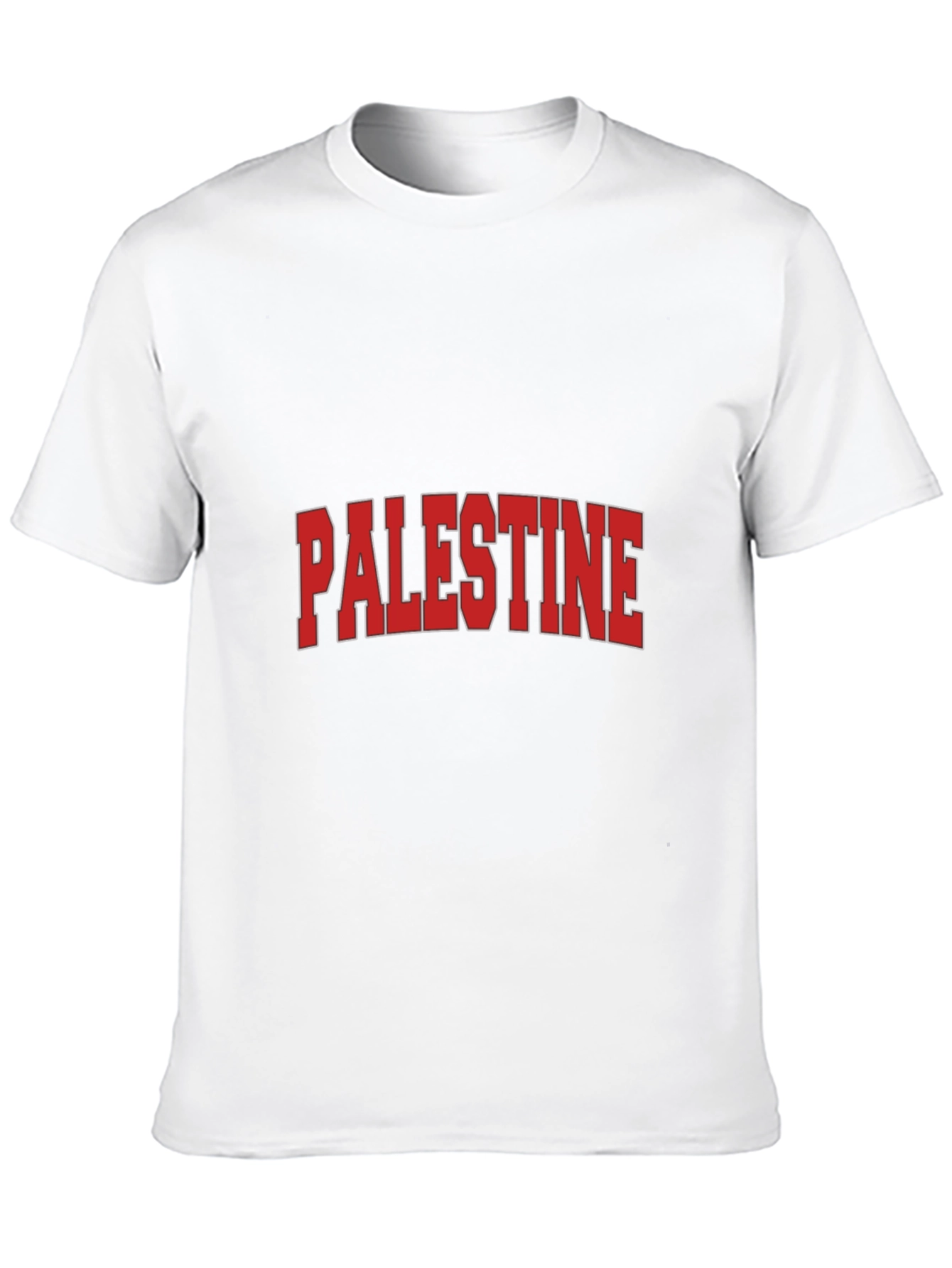 Palestine Graphic T-Shirt - Classic Design