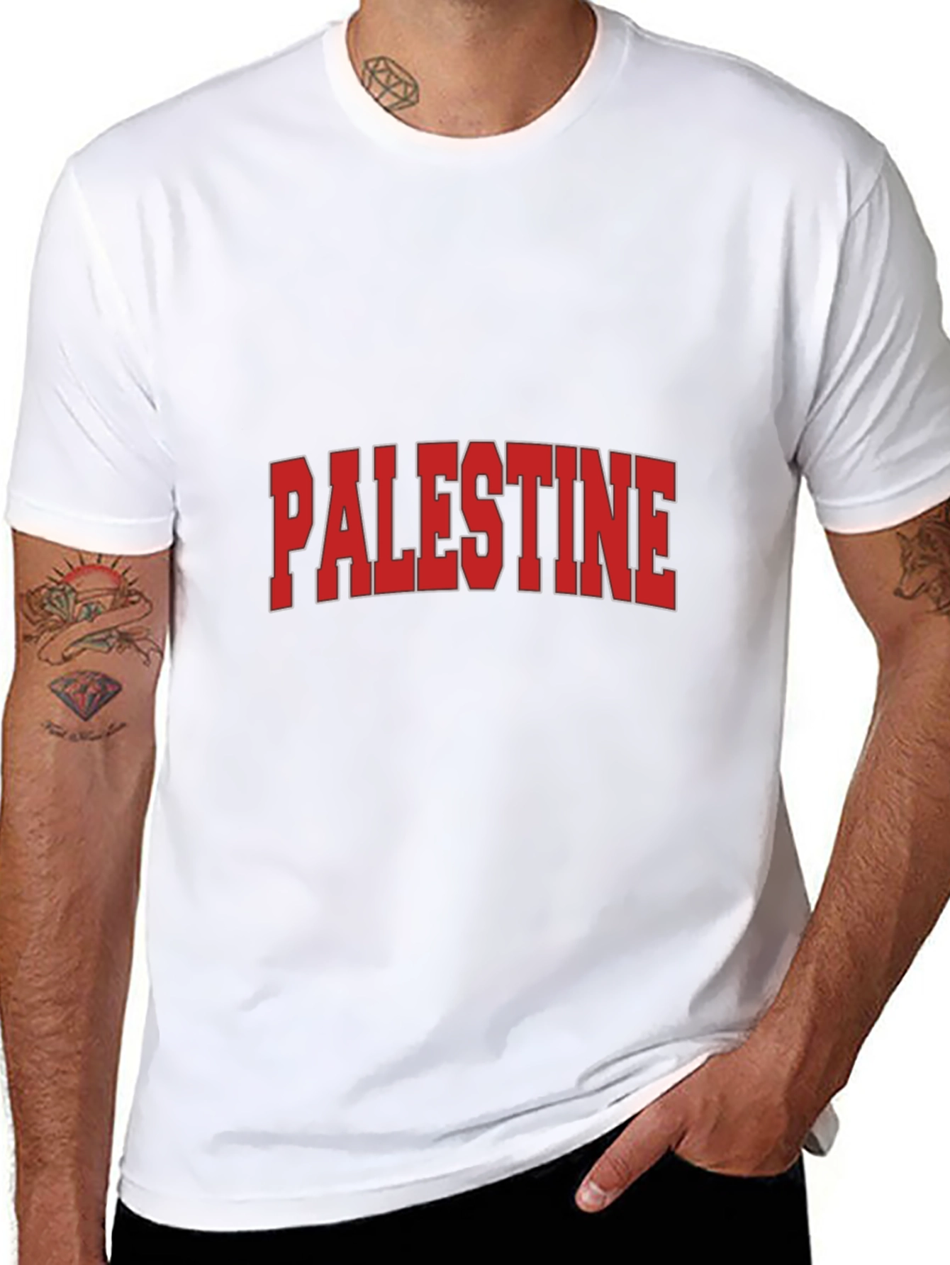 Palestine Graphic T-Shirt - Classic Design
