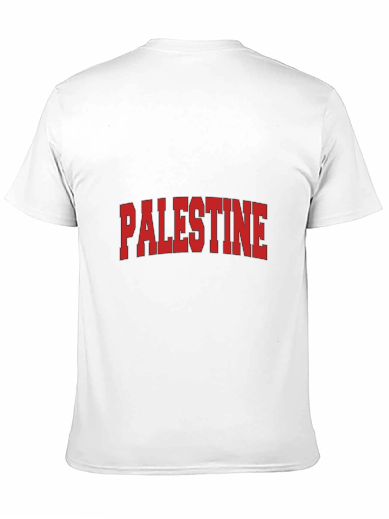 Palestine Graphic T-Shirt - Classic Design
