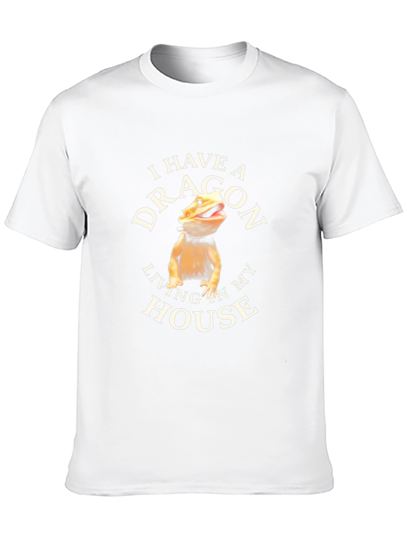 I Have A Dragon Living In My House T-Shirt