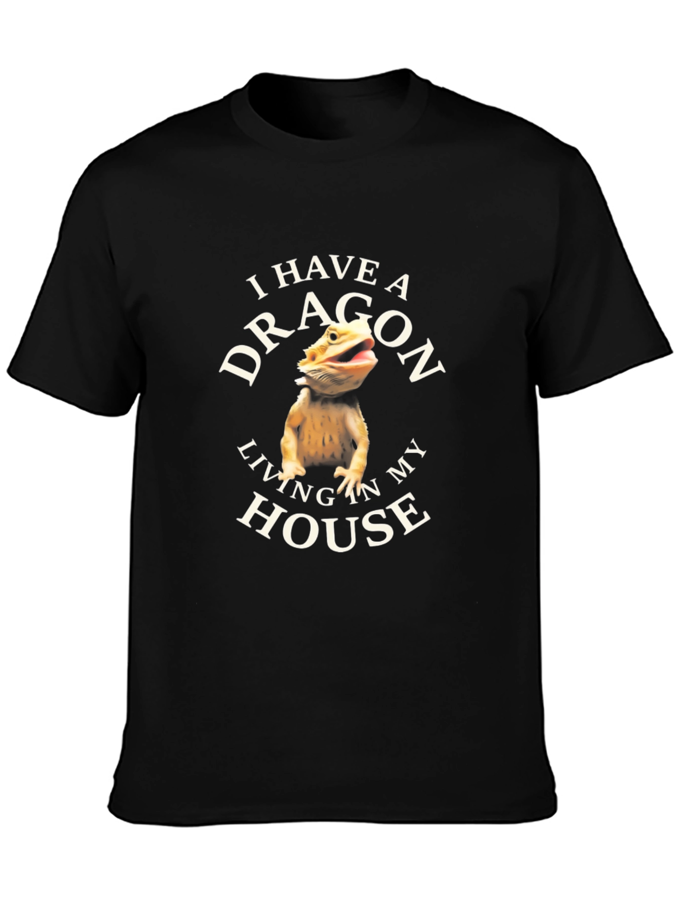 I Have A Dragon Living In My House T-Shirt