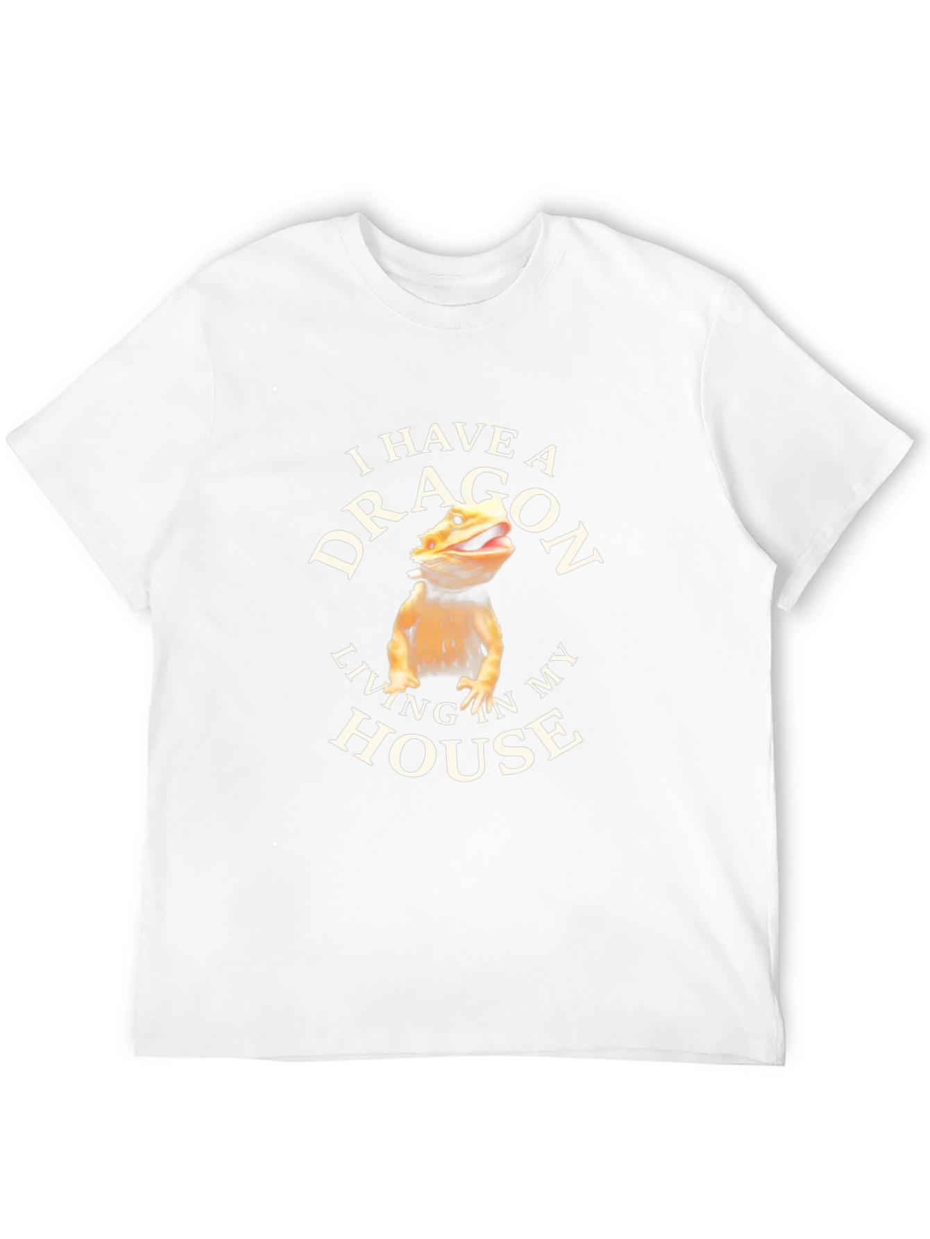I Have A Dragon Living In My House T-Shirt