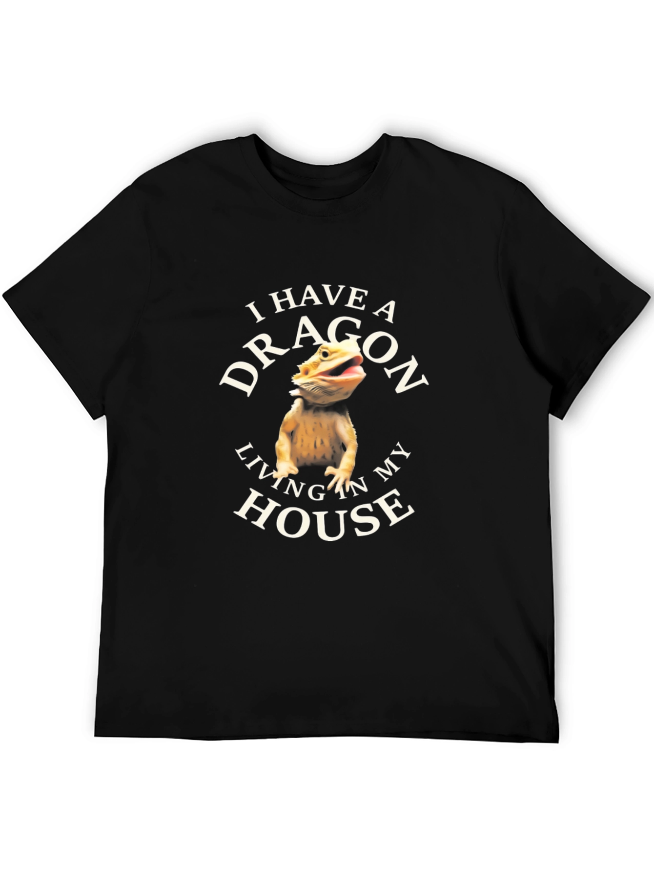 I Have A Dragon Living In My House T-Shirt