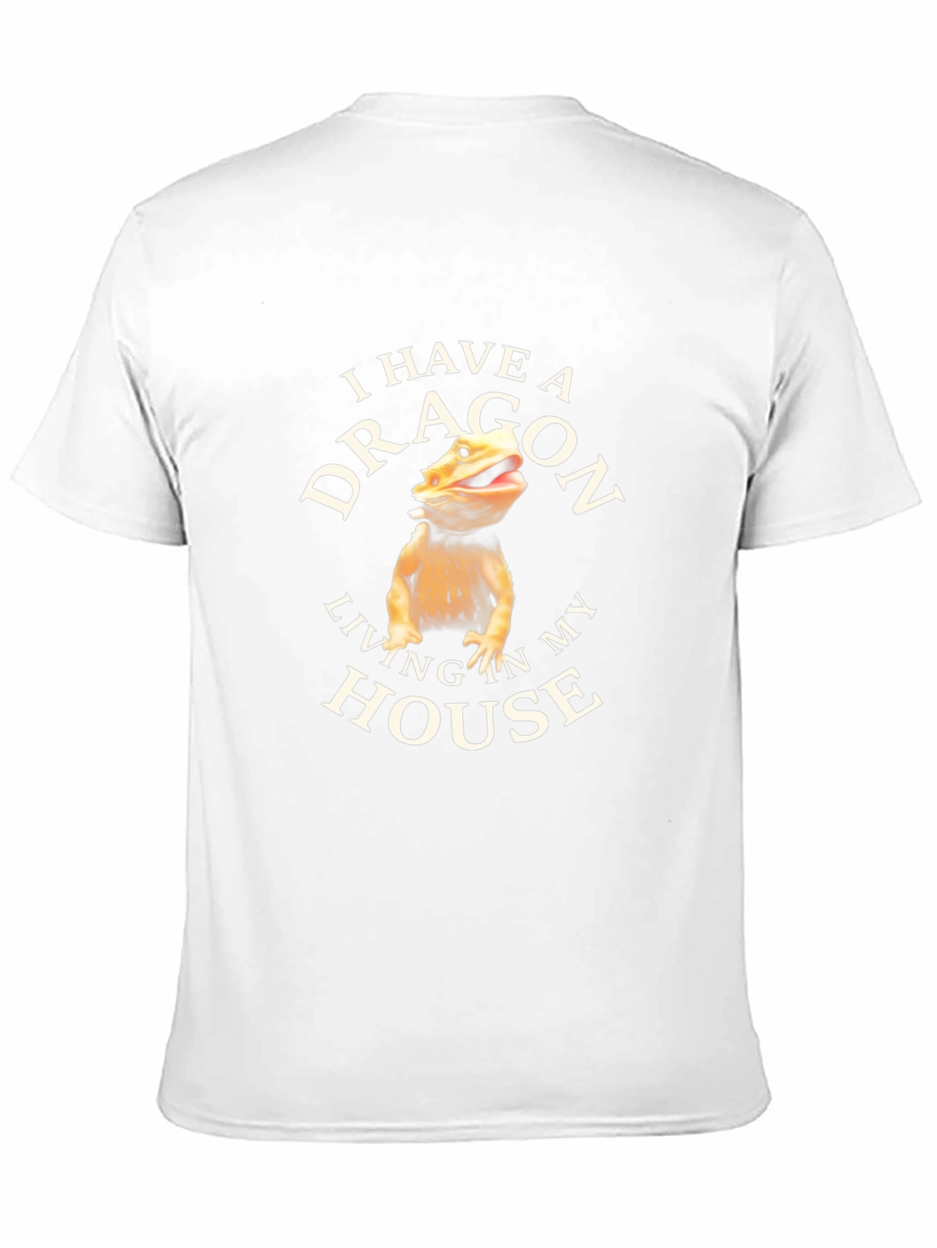 I Have A Dragon Living In My House T-Shirt