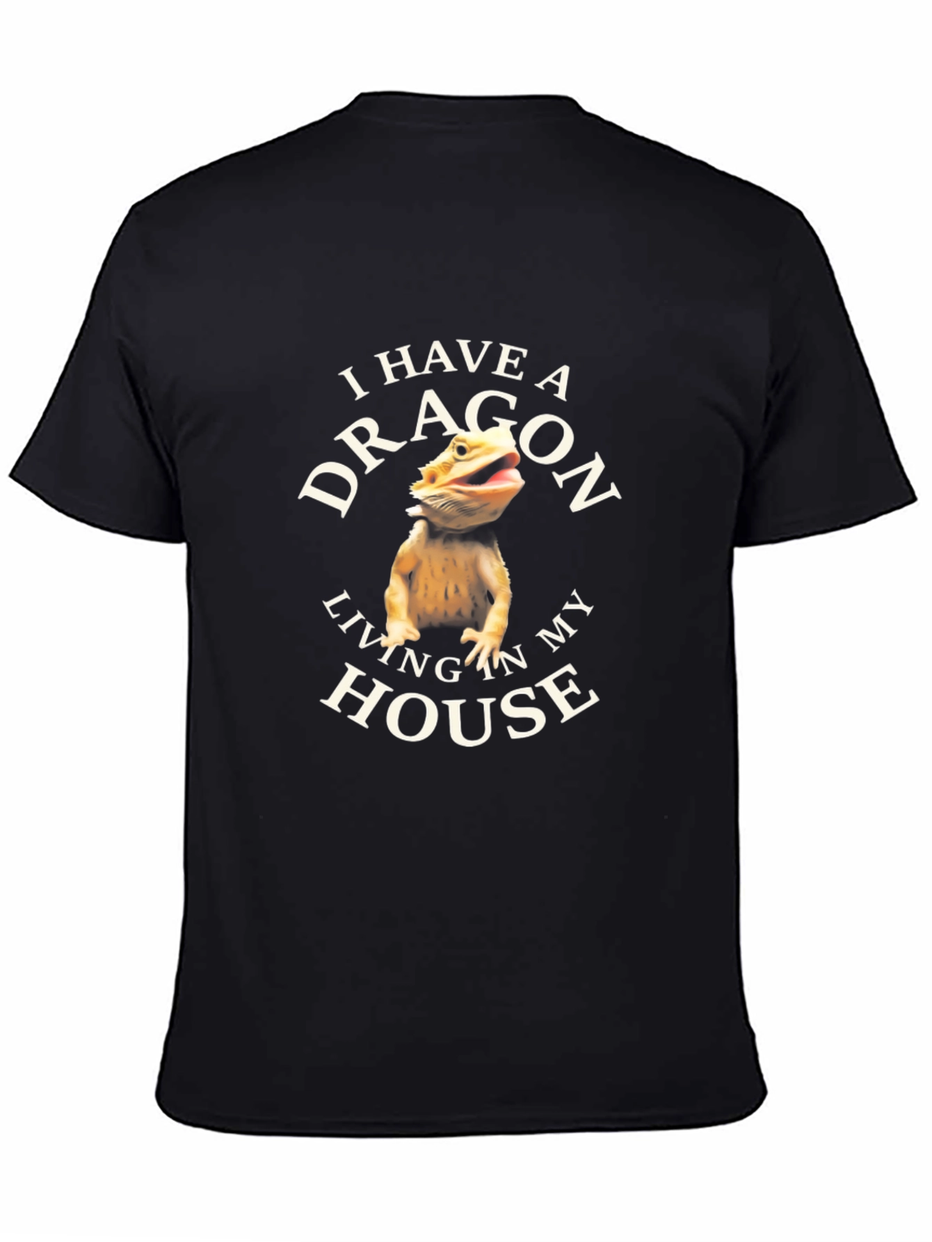 I Have A Dragon Living In My House T-Shirt