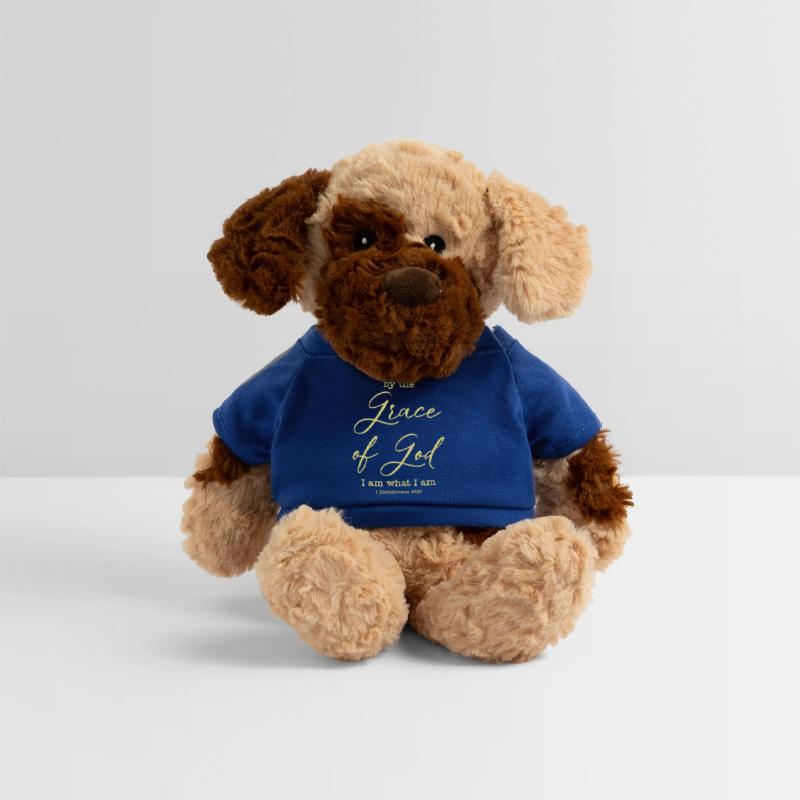 By The Grace of God, I Am What I Am Christian