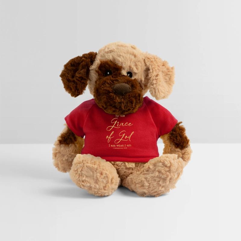 By The Grace of God, I Am What I Am Christian