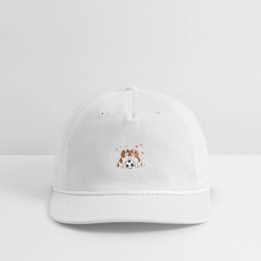 Cavalier Spaniels with soccer ball for Valentine's