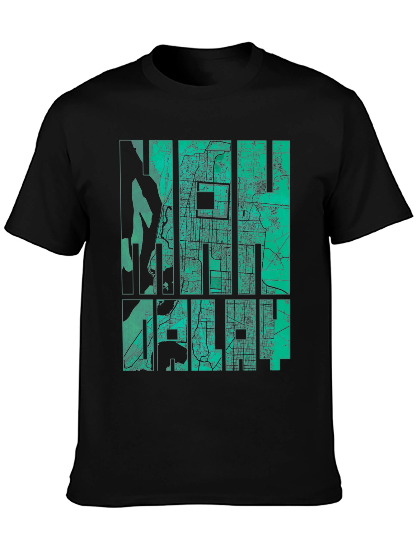 New Delhi Map Graphic Tee - India Travel Souvenir