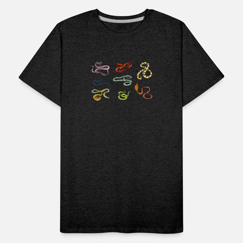 Educational Species And Kinds Of Snakes