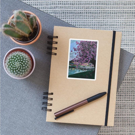 Festplass Swans and Cherry Flowers week 17