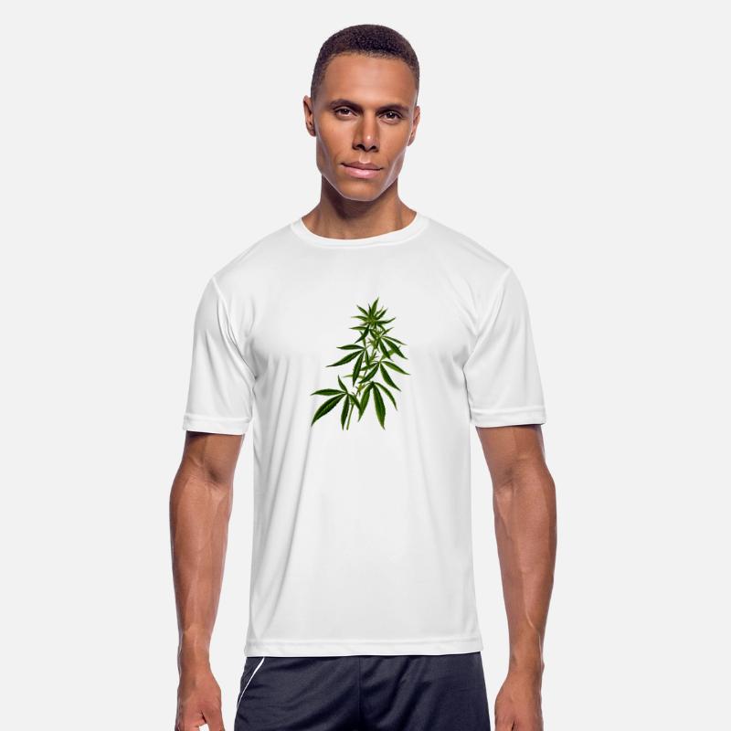 hanf cannabis kiffen marijuana hemp grass gras12
