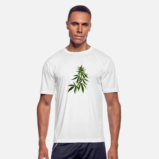 hanf cannabis kiffen marijuana hemp grass gras12