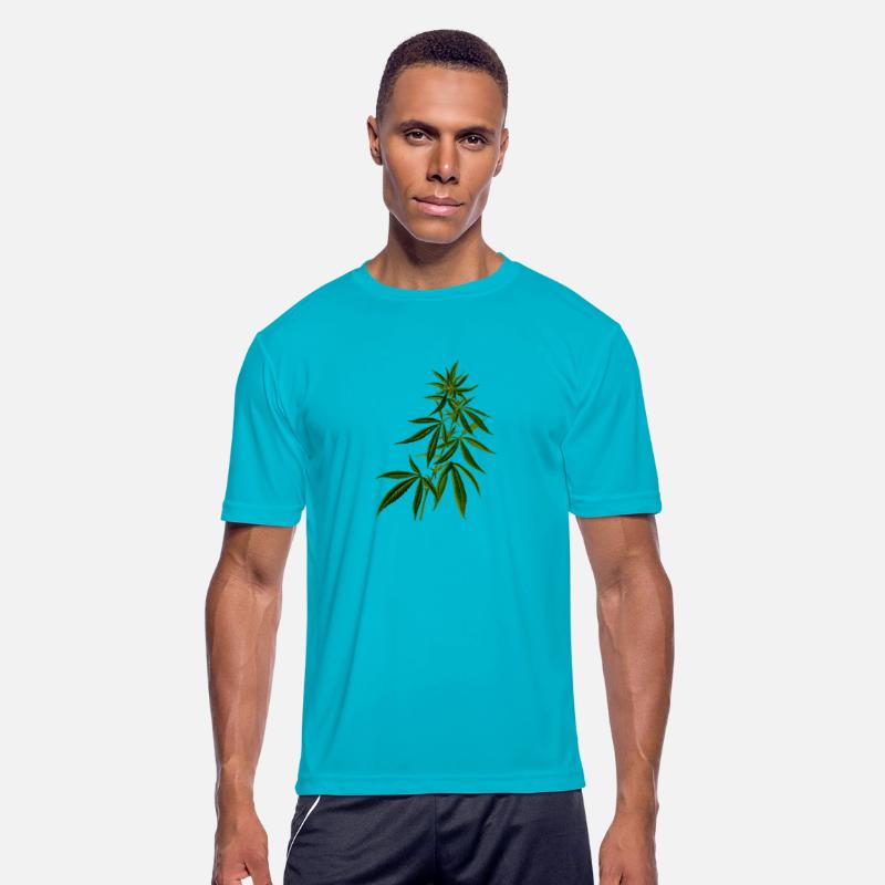 hanf cannabis kiffen marijuana hemp grass gras12