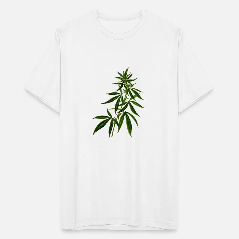 hanf cannabis kiffen marijuana hemp grass gras12