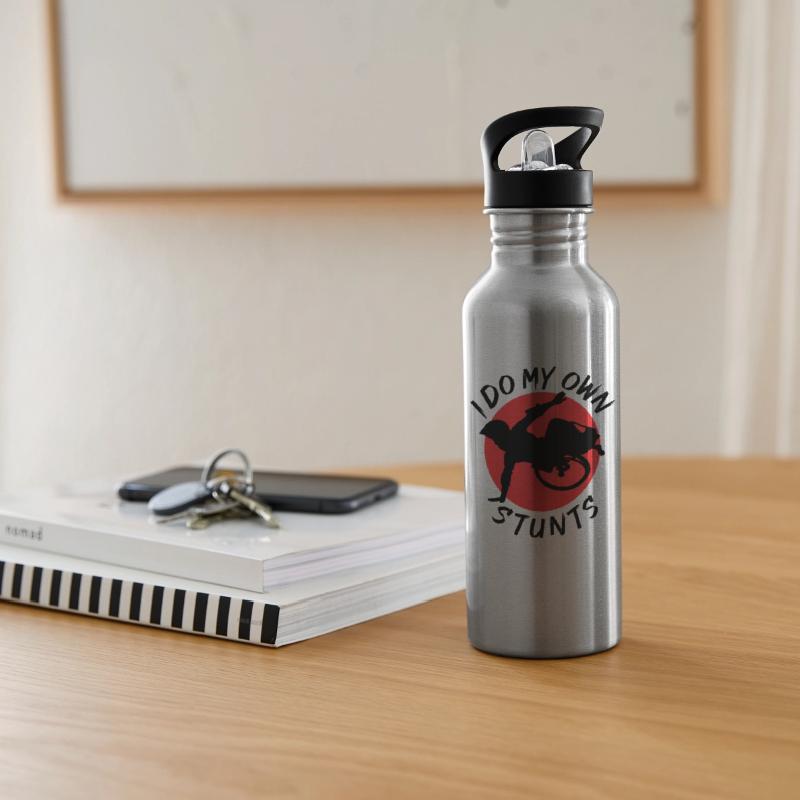 I do my own stunts Wheelchair Stunt Skater WCMX