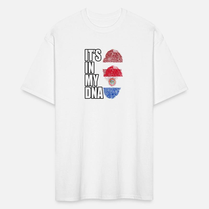 Latvian And Paraguayan Mix Heritage DNA Flag