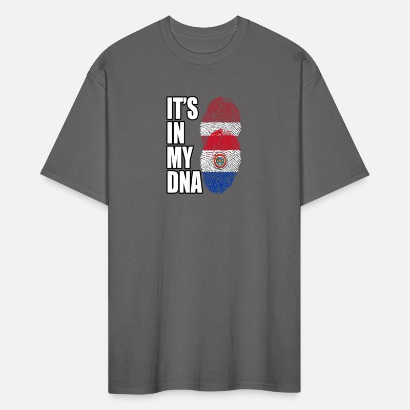 Latvian And Paraguayan Mix Heritage DNA Flag