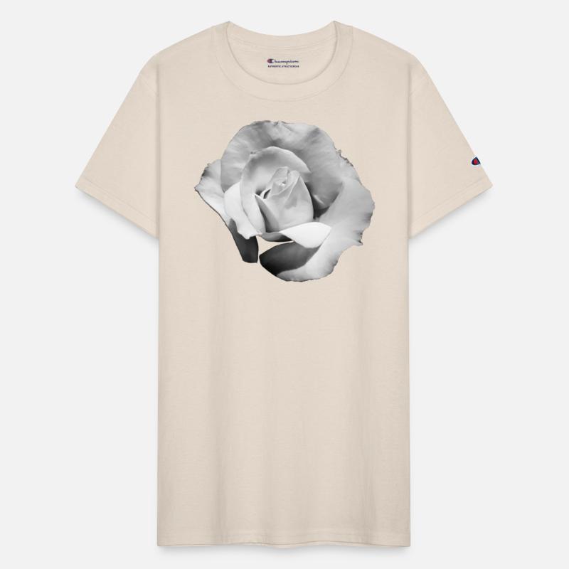 Monochrome white rose flower bud