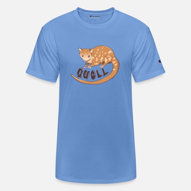 Quoll Cute Marsupial Animal