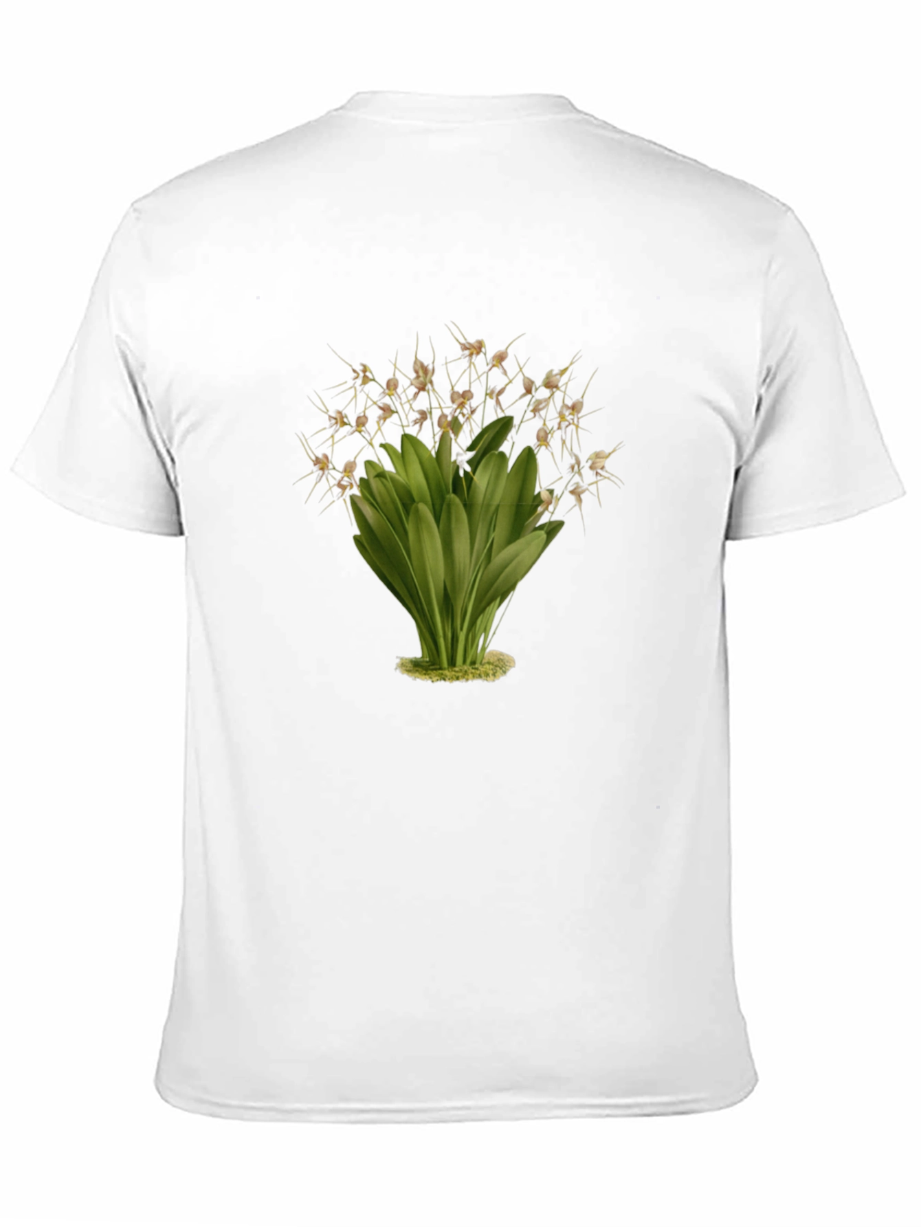 Botanical Illustration Black T-Shirt