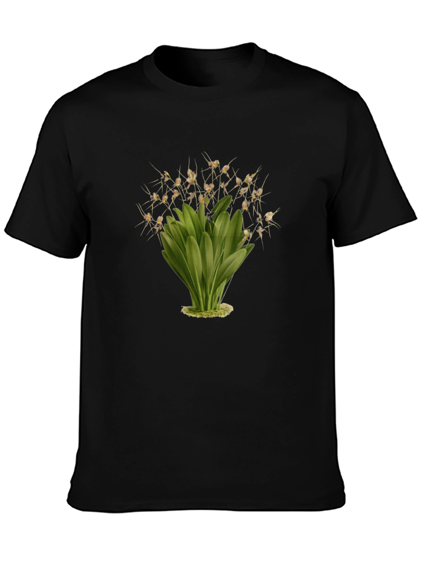 Botanical Illustration Black T-Shirt