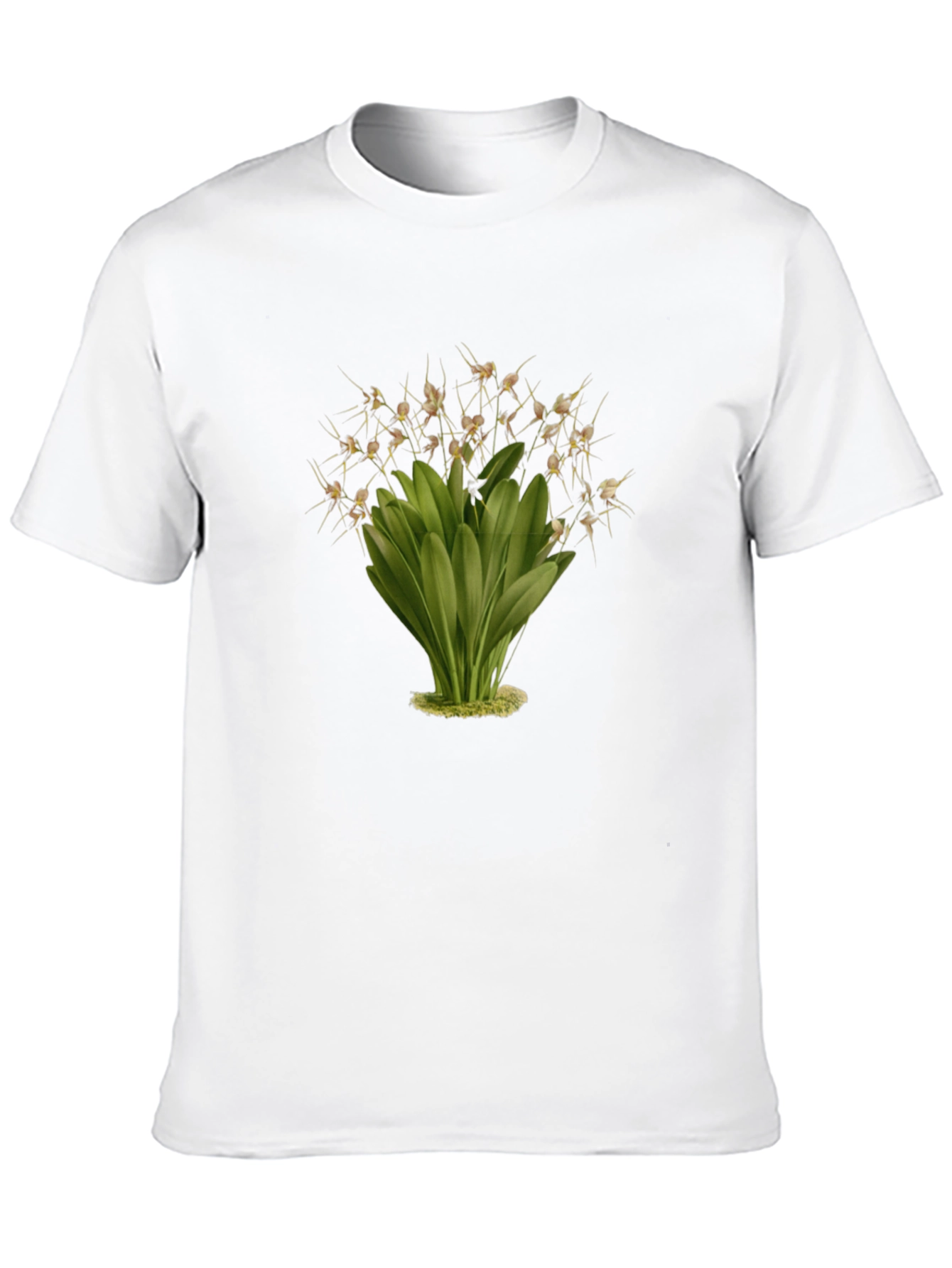 Botanical Illustration Black T-Shirt