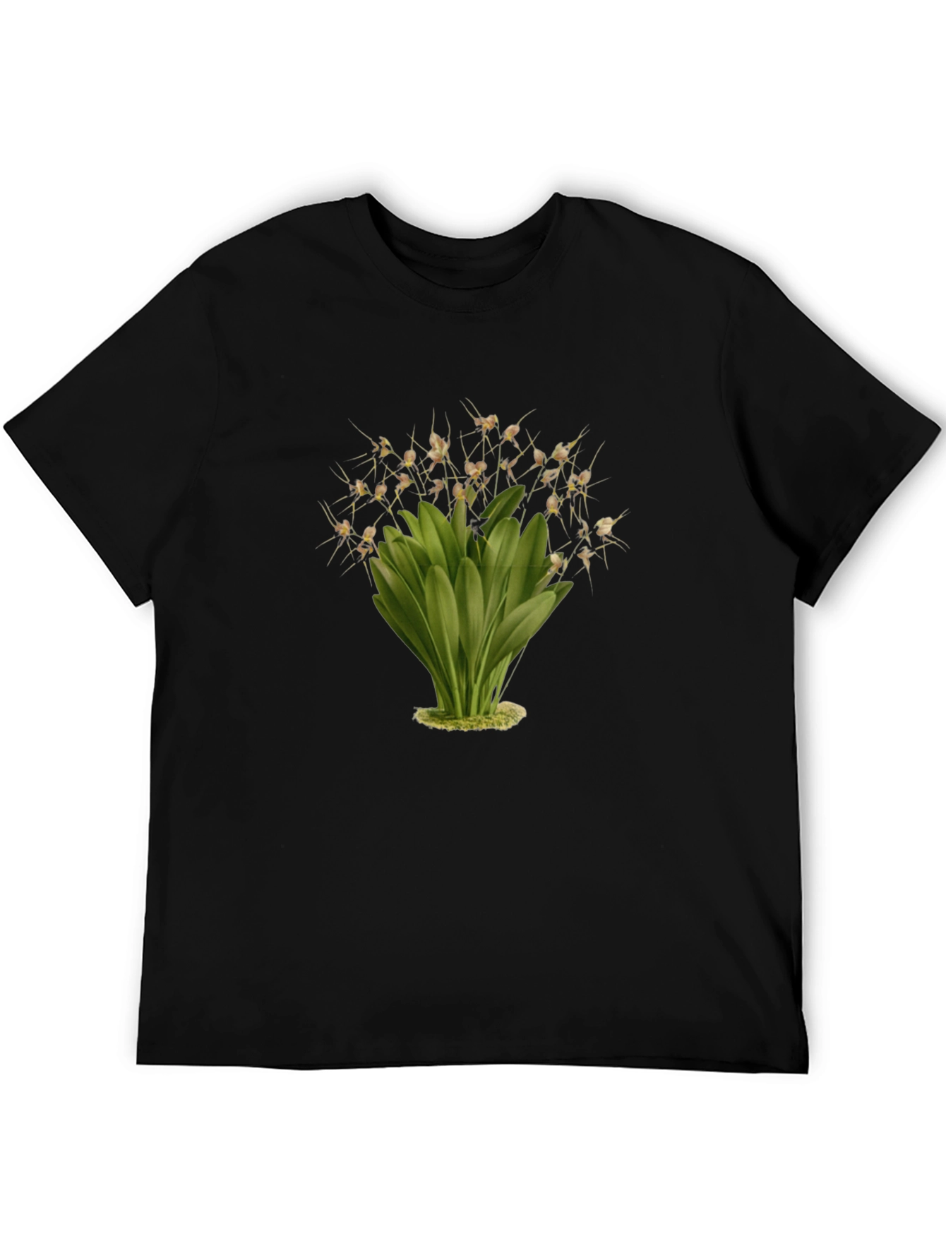 Botanical Illustration Black T-Shirt