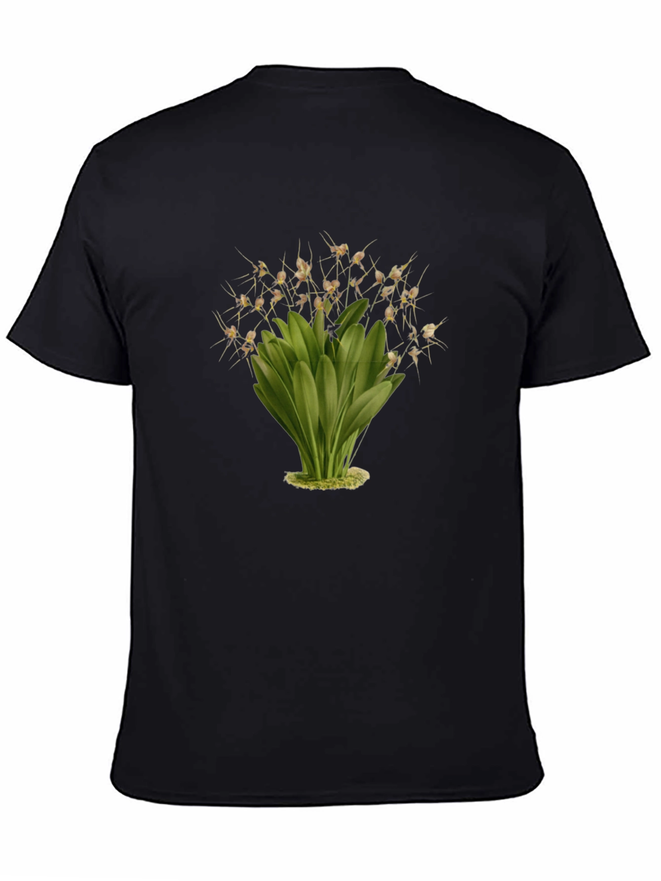 Botanical Illustration Black T-Shirt