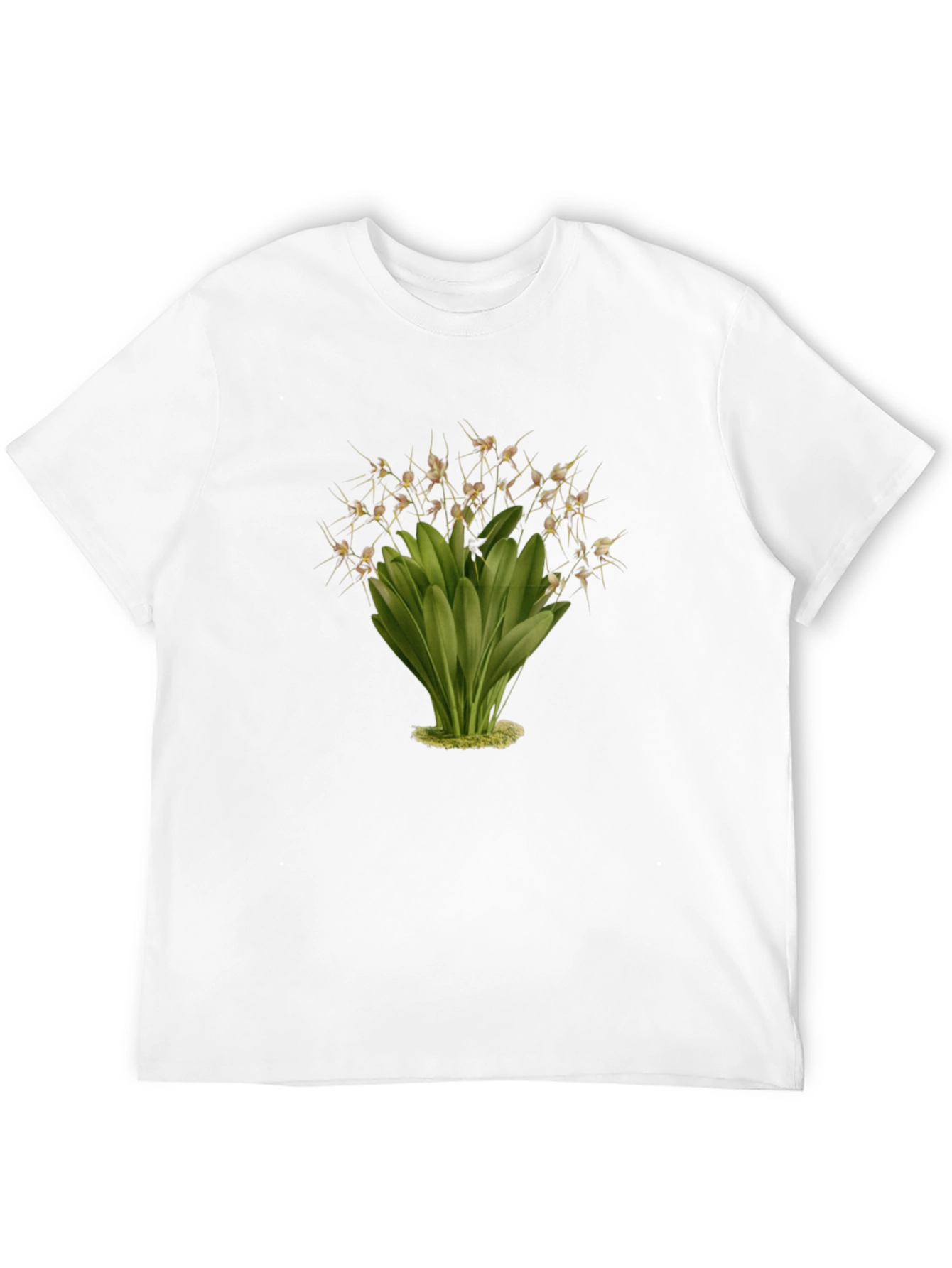 Botanical Illustration Black T-Shirt