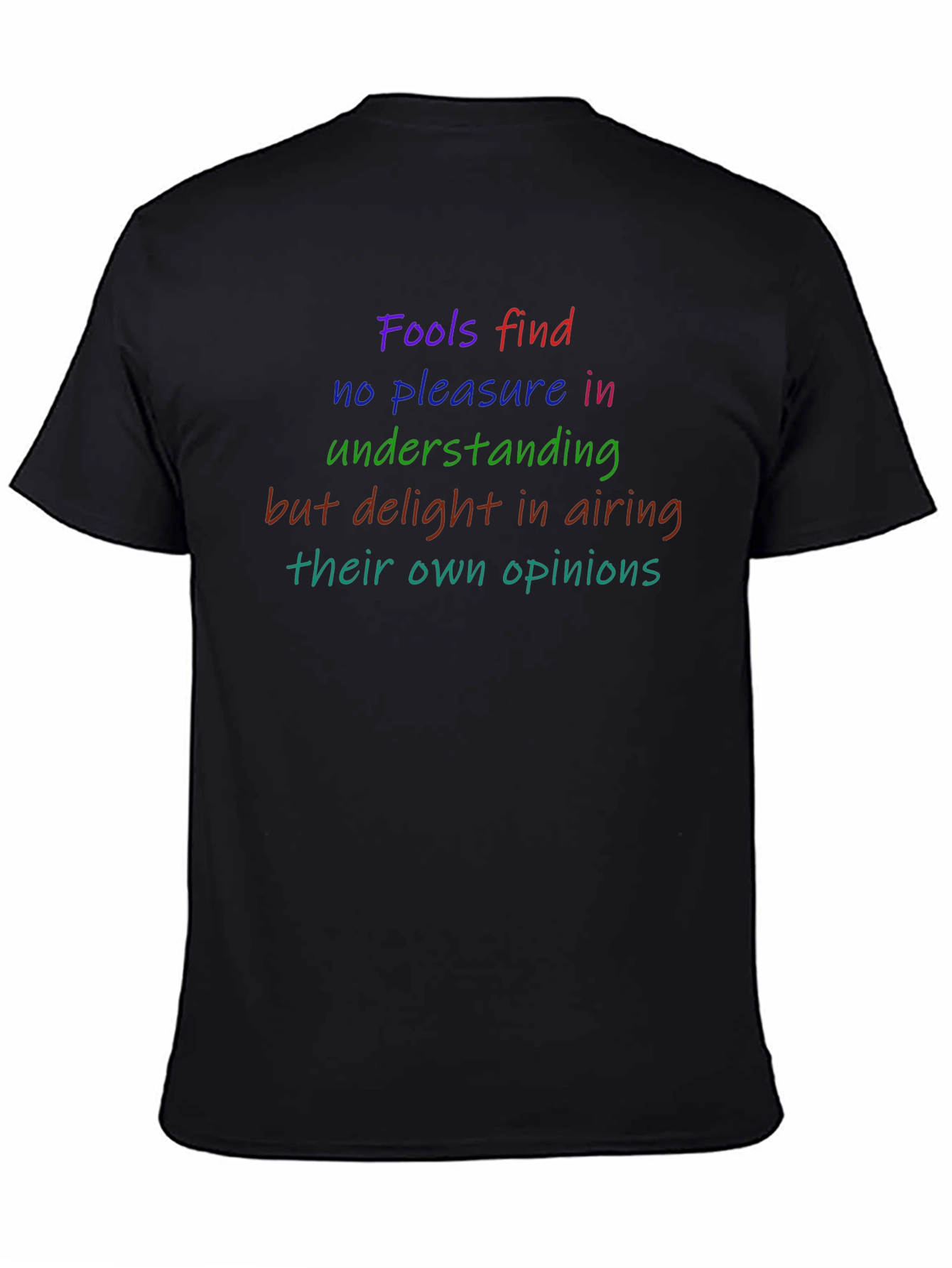 Statement T-Shirt: Fools find no pleasure